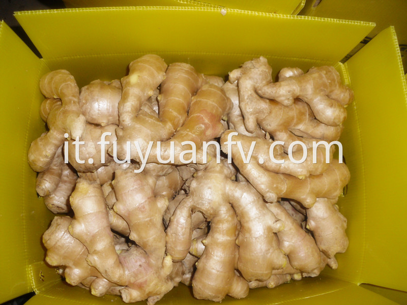 anqiu Air dried ginger